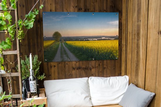 Champ de colza dans le Jutland Danemark affiche de jardin en vrac 120x80 cm - Toile de jardin / Toile d'extérieur / Peintures pour l'extérieur (décoration de jardin)