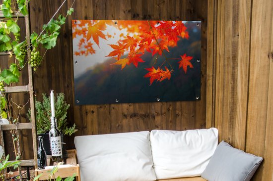 Affiche de jardin Feuilles d'automne au Japon - 120x80 cm - Jardin