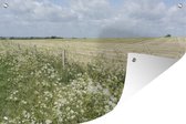 Muurdecoratie Fluitenkruid langs een hek en een veld - 180x120 cm - Tuinposter - Tuindoek - Buitenposter