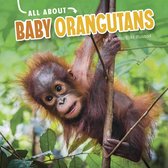 Oh Baby! - All About Baby Orangutans