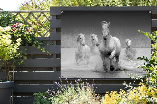 Affiche jardin - Toile jardin - Posters de jardin extérieur - Paarden - Water - Boue - 120x90 cm - Jardin