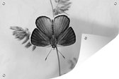 Tuindecoratie Blauwe vlinder - zwart wit - 60x40 cm - Tuinposter - Tuindoek - Buitenposter