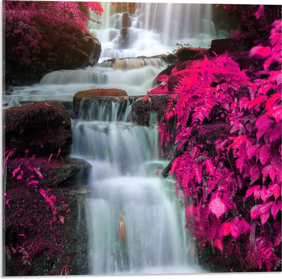Acrylglas - Waterval tussen Roze Bloemen door - 50x50cm Foto op Acrylglas (Met Ophangsysteem)