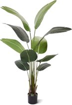 Strelitzia Nicolai kunstplant 150 cm