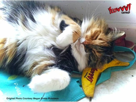 Yeowww! Banaan Kicker - Catnip Kattenkruid Speeltje voor Katten - Geel - 18 cm