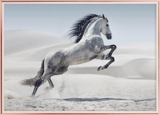 Poster Met Witte Lijst - Galopperende witte Pony Poster (21x30cm)