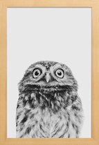 JUNIQE - Poster in houten lijst Owl Classic -30x45 /Wit & Zwart