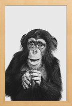 JUNIQE - Poster in houten lijst Chimpanzee II -20x30 /Grijs & Zwart