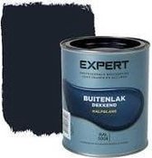 Expert Buitenlak Halfglans - Aflak - Verf - Made by Sikkens - Ral 5004 - 0,75 L