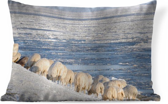 Sierkussen Mer des Wadden pour l'intérieur - Moutons sur la digue de la mer des Wadden - 50x30 cm - Coussin intérieur rectangulaire en coton
