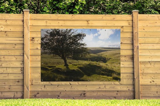 Arbre d'aubépine solitaire dans le parc national d'Exmoor en Angleterre Poster de jardin 180x120 cm - Toile de jardin / Peintures extérieur / Peintures d'extérieur (décoration de jardin) XXL / Groot format!