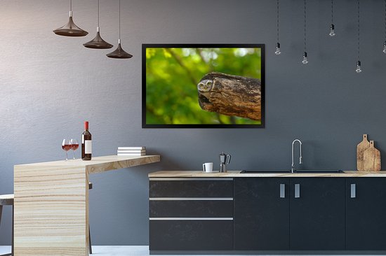 Photo encadrée - Petit hibou brahmane en tronc d'arbre creux cadre photo noir sans passe partout 90x60 cm - Affiche encadrée (Décoration murale salon / chambre)