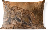 Buitenkussens - Tuin - Een luipaard met gecamoufleerd patroon - 50x30 cm