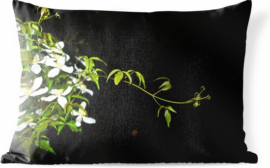 Buitenkussens - Tuin - Een kruipende tak van witte clematis op een zwarte achtergrond - 60x40 cm