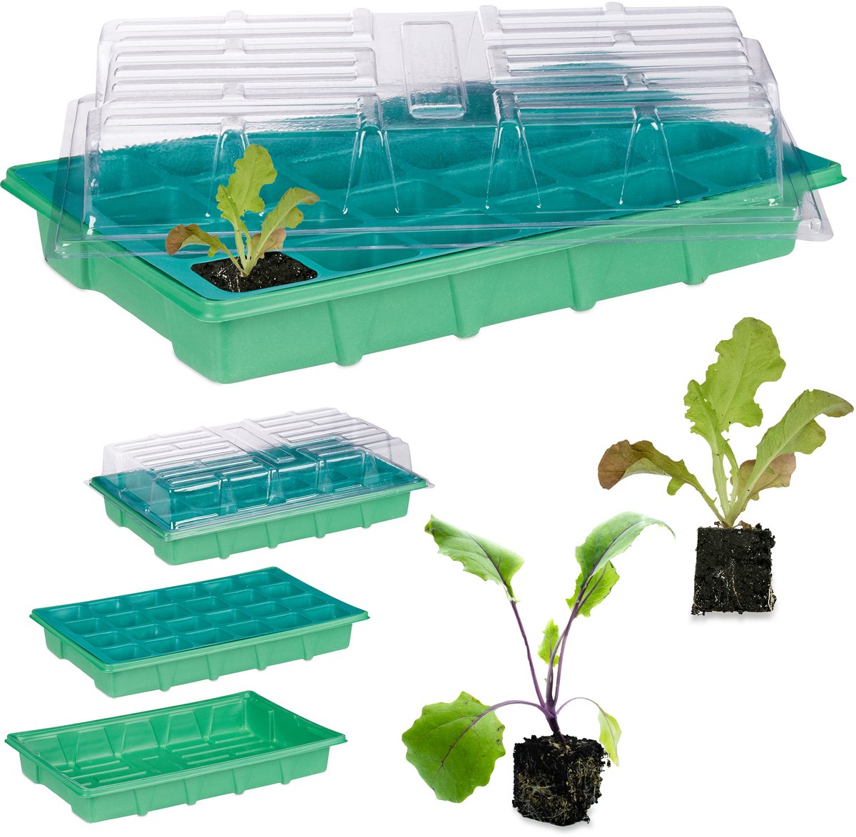 Relaxdays kweekbak binnen - mini kweekkas met deksel - voor zaailingen - vensterbank groen