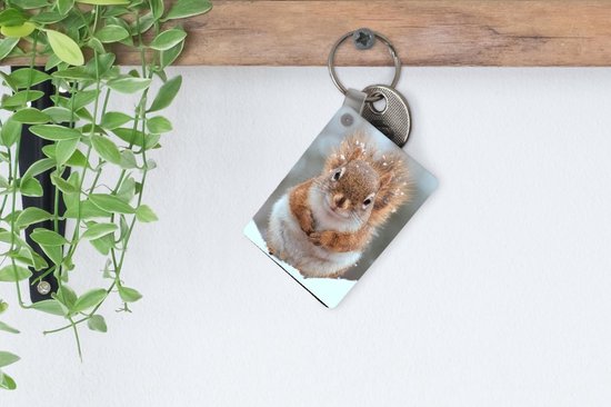 Porte-clés Écureuils en hiver - Un gros plan d'un écureuil en hiver Porte-clés en plastique - Porte-clés rectangulaire avec photo