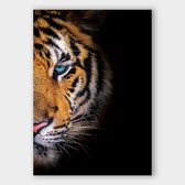 Poster Blue Eyes Tiger - Dibond - Meerdere Afmetingen & Prijzen | Wanddecoratie - Interieur - Art - Wonen - Schilderij - Kunst