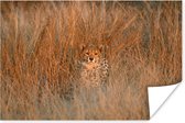 Poster Cheetah au motif bien camouflé 180x120 cm - Tirage photo sur Poster (décoration murale salon / chambre) XXL / Groot format!