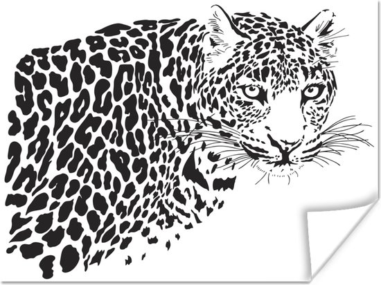 Poster Encadré Léopard - Animaux Sauvages - Nature Tableau Deco Avec Cadre  60x40 Cm à Prix Carrefour