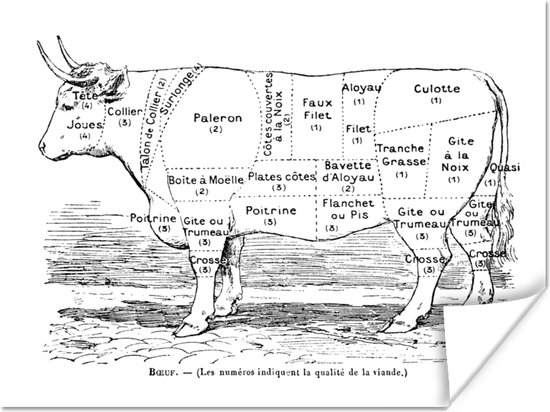 Poster Illustratie met het slagersdiagram van de koe - 80x60 cm