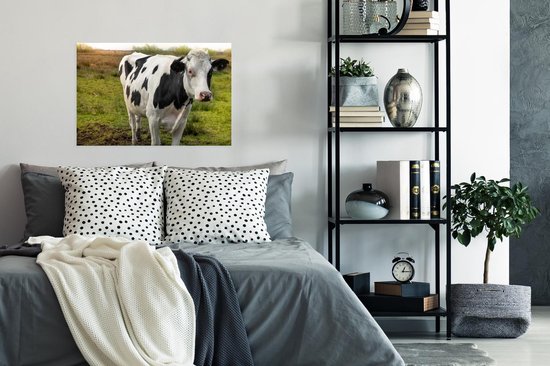 Gros plan d'une vache noire et blanche 90x60 cm