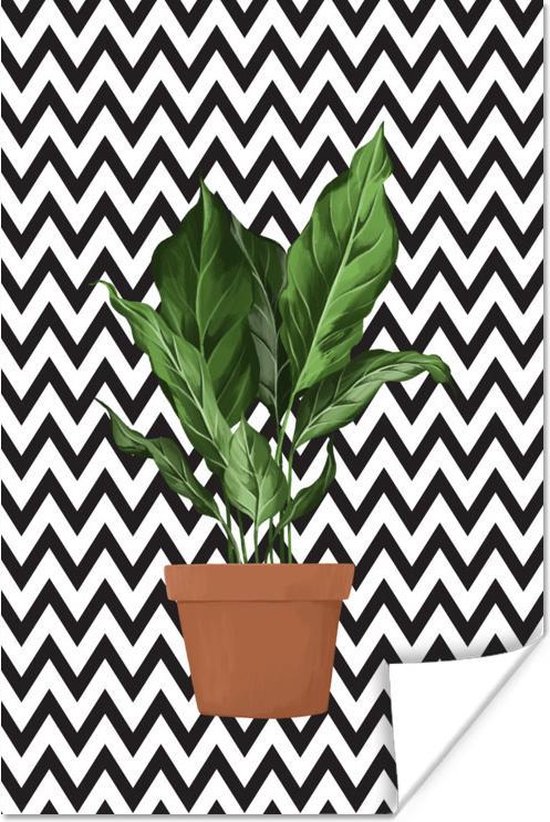 Poster Planten - Plantenbak - Kamerplant - 20x30 cm