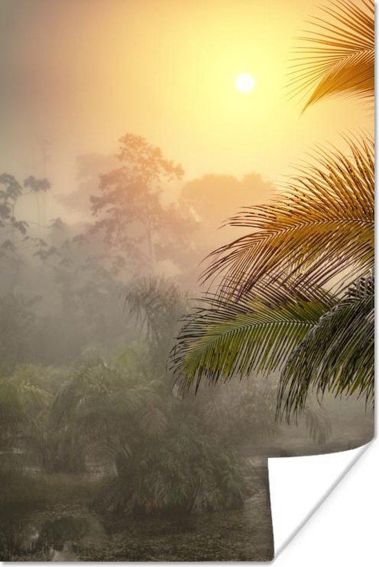 Poster Mooie zonsondergang boven het oerwoud van het Nationaal park Corcovado in Costa Rica - 20x30 cm