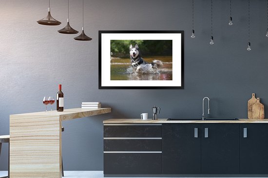 Photo encadrée - Cadre photo Husky dans l'eau noir avec passe-partout blanc 60x90 90x60 cm - Affiche encadrée (Décoration murale salon / chambre)