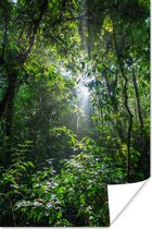 Poster Zon breekt door de bomen van het oerwoud in het Nationaal park Corcovado - 120x180 cm XXL