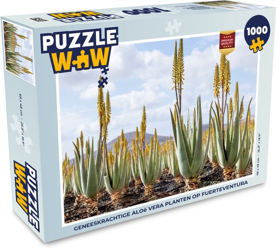 Puzzel Geneeskrachtige aloë vera planten op Fuerteventura - Legpuzzel -  Puzzel 1000... | bol.com