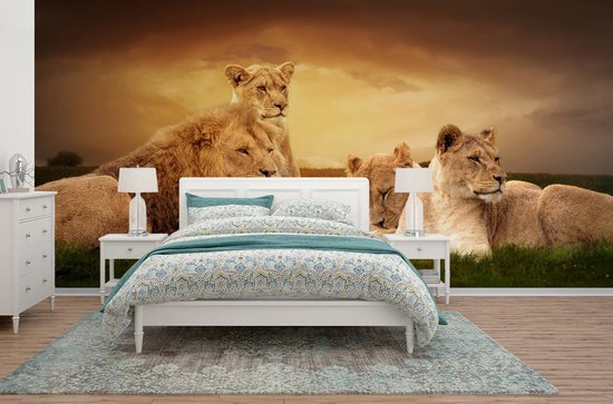 Papier peint - Papiers Papier peint photo Lions - Herbe - Ciel - Largeur 395 cm x Hauteur 220 cm
