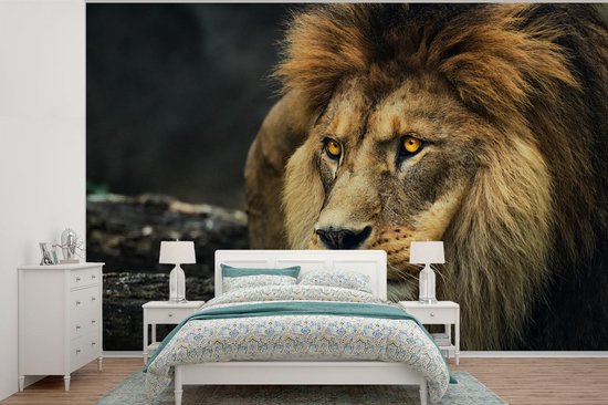 Papier peint - Papier peint photo Lion - Portrait - Sauvage - Largeur 420 cm x hauteur 280 cm