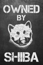 Owned By Shiba