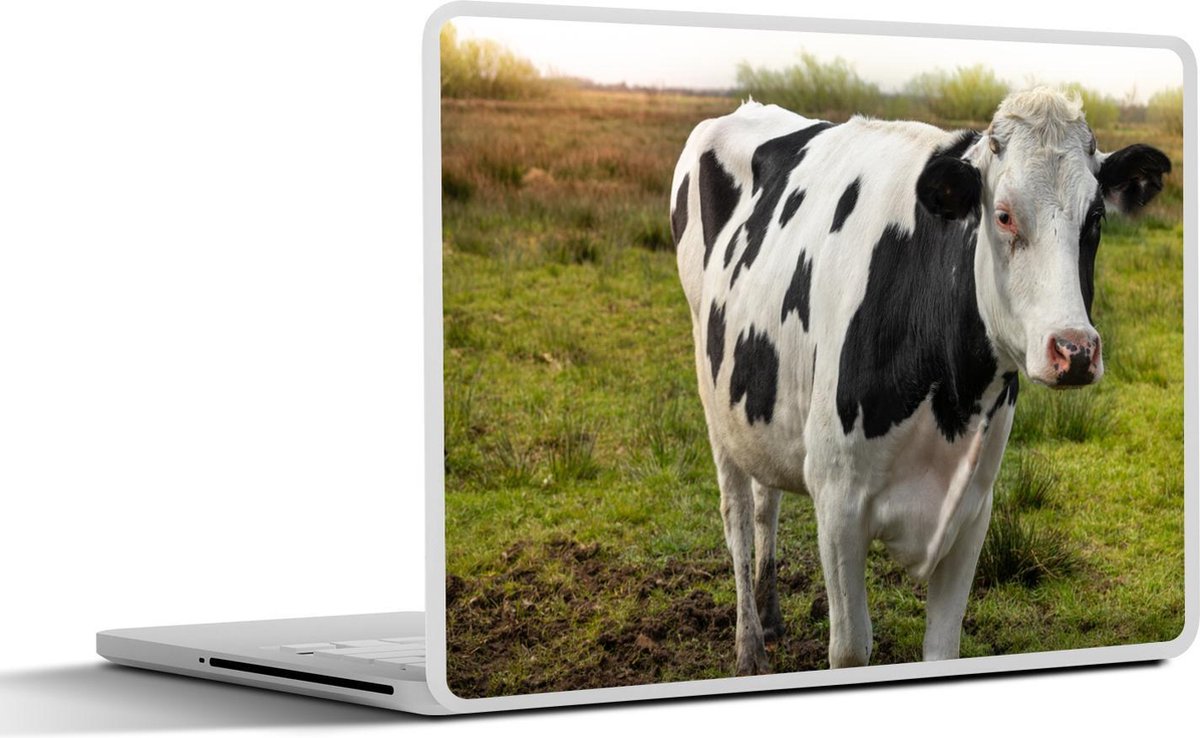 Laptop sticker - 15.6 inch - Koe - Portret - Fries - 36x27,5cm - Laptopstickers - Laptop skin - Cover