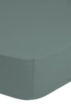 Zachte Jersey Hoeslaken 180x220cm - Hoekhoogte 30cm - 100% Katoen - Groen