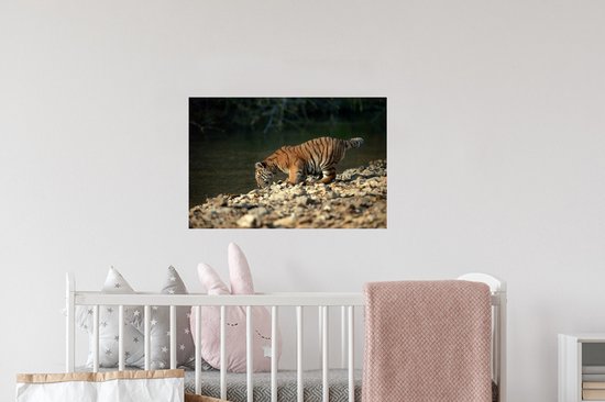 Sticker Muursticker Bébé tigre - bébé abeille tigre - 60x40 cm - feuille autocollante - sticker mural repositionnable