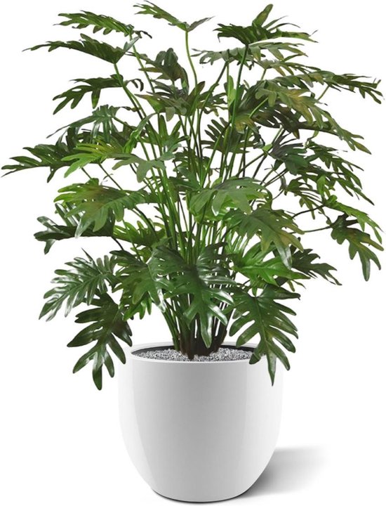 Philo Xanadu deluxe plante artificielle 110 cm