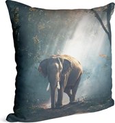 Olifant in oerwoud - Foto op Sierkussen - 60 x 60 cm