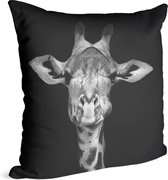 Giraffe op zwarte achtergrond - Foto op Sierkussen - 50 x 50 cm