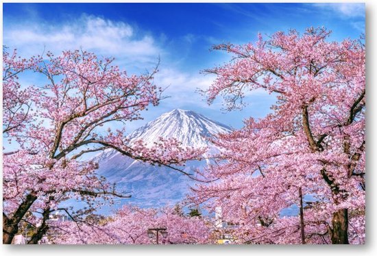 Fuji-berg en kersenbloesems in de lente, Japan | Canvas Liggend | Besteposter | Landschap