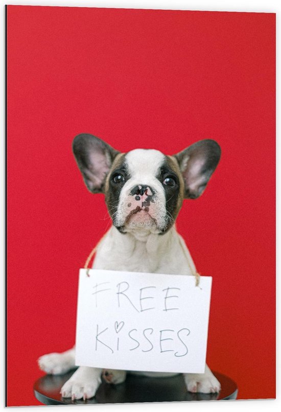 Dibond - Bulldog op Rode Achtergrond met ''Free Kisses'' Bord - 60x90cm Foto op Aluminium (Met Ophangsysteem)