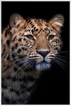 JUNIQE - Poster in kunststof lijst Waiting to Pounce -30x45 /Geel &