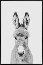 JUNIQE - Poster in kunststof lijst Donkey Classic -20x30 /Wit & Zwart