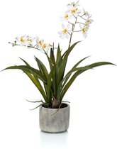 Kunstbloem Tijgerorchidee 45 cm in pot