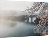 Mistige brug met kersenbloesem - Foto op Canvas - 90 x 60 cm