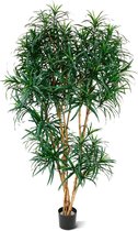 Draceana Reflexa XL 190 cm groen kunstboom