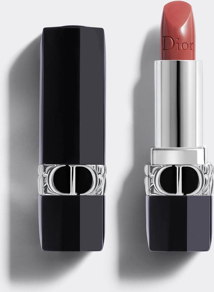 Shiseido Dior Rouge Barra De Labios 683
