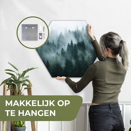 Hexagon wanddecoratie - Kunststof Wanddecoratie - Hexagon Schilderij - Mist - Bomen - Bos - 75x65 cm