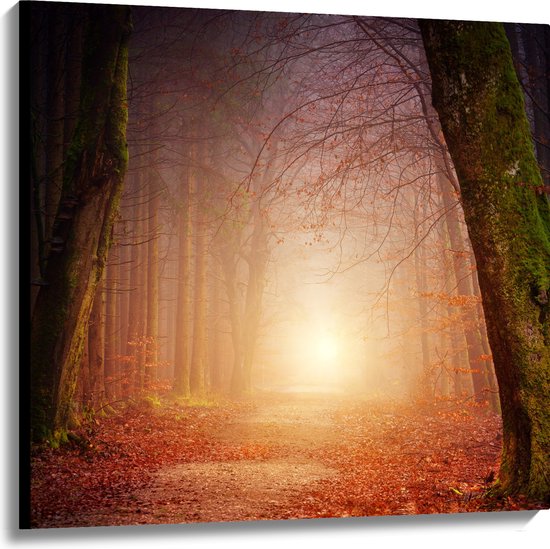 WallClassics - Toile - Lumière au bout d'un chemin forestier brumeux - 100x100 cm Photo sur toile (Décoration murale sur toile)