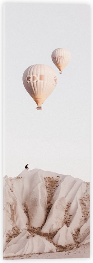 WallClassics - Acrylglas - Twee Luchtballonnen boven Rotslandschap - 20x60 cm Foto op Acrylglas (Wanddecoratie op Acrylaat)